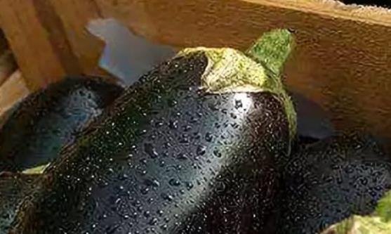 推薦治療關節炎的12個偏方 治療關節炎有效果