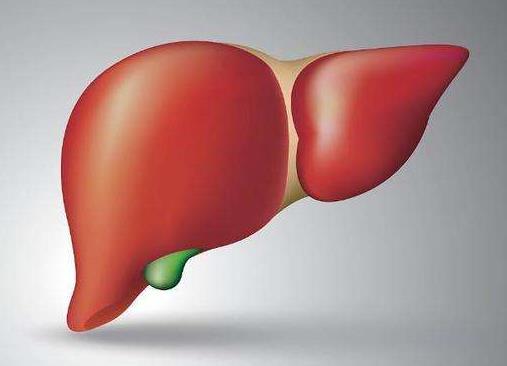 濟南中醫肝病醫院是正規醫院嗎?專家經驗豐富 攜手共抗肝病!