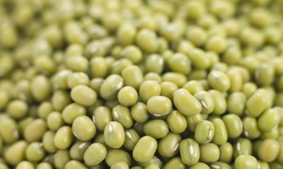 白領女性防輻射必吃的10種食物 推薦日常防輻射方法