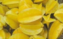 ?楊桃富含蛋白質(zhì)和多種維生素 吃楊桃的8個(gè)禁忌