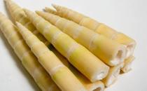 ?竹筍的7大功效和作用 食用竹筍應(yīng)了解竹筍的禁忌