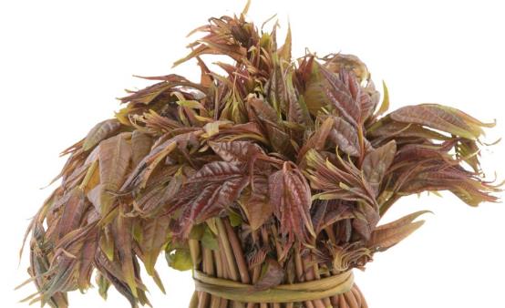 香椿芽的功效與作用