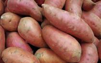 ?食用蔬菜來改善身體疾病 看看這些蔬菜的神奇之處吧