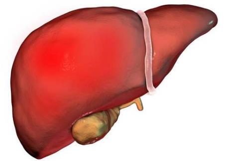 為什么手機是睡眠殺手?習(xí)慣性睡前玩手機、長期熬夜玩手機的危害