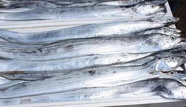 甲醛浸泡過的帶魚一碰熱油就扭曲、炸裂“開花”,千萬別買別吃