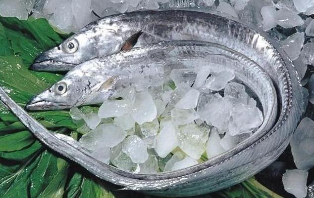 為什么帶魚不能人工養殖？帶魚是深海魚嗎？有什么營養價值