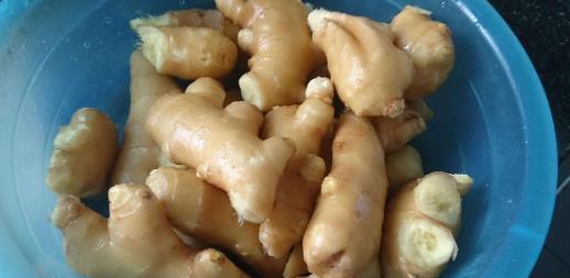 生姜放久了失去水分干巴巴的，這樣保存，可以吃一年新鮮生姜