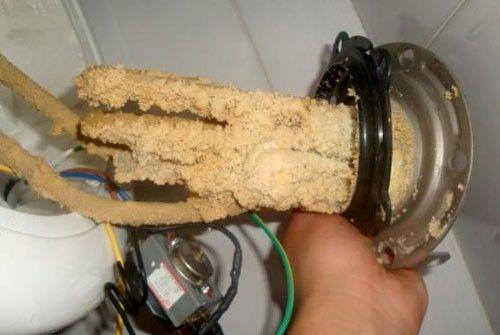 土豆發芽不能吃了就得扔掉？四種巧用發芽土豆的實用小妙招