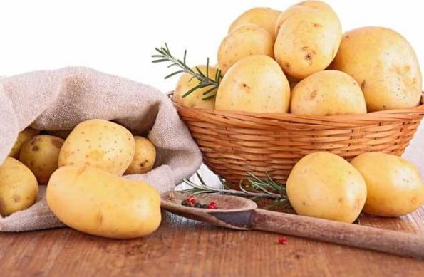 土豆發芽了還能吃嗎?剛發芽的土豆可以吃嗎