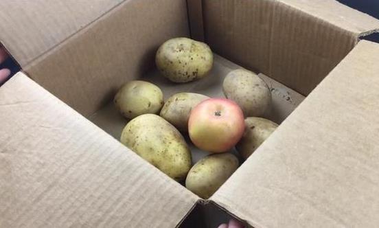 土豆發芽了還能吃嗎?剛發芽的土豆可以吃嗎