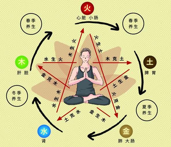 中醫治病特色系列:劉文華院長談中醫個體化治療