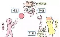 芙美安婦科凝膠丨婦科炎癥反復發作？自從用了它，告別私密困擾！