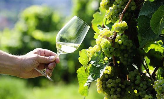 孕婦科學健康飲食最重要 孕婦不能吃的10種食物