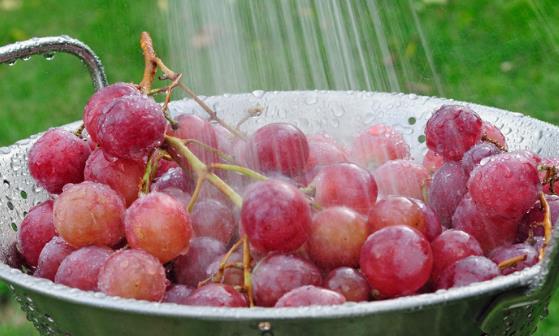 適合孕婦吃的10種水果 有安胎及幫助胎兒發育作用