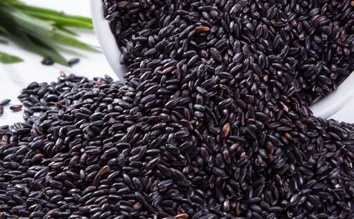 黑米一天吃多少為宜 黑米怎么吃才可以發揮它的功效