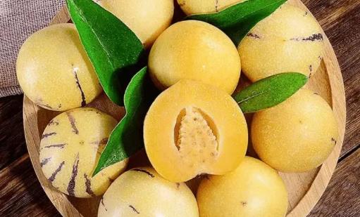 人參果對減肥起作用嗎 減肥人參果怎么吃法