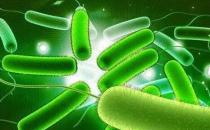 ?查支原體衣原體感染做什么檢查